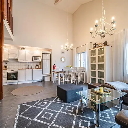 Alte Dali Ski-in Ski-out By Aavalevi Levi