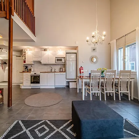 Alte Dali Ski-in Ski-out By Aavalevi * Levi