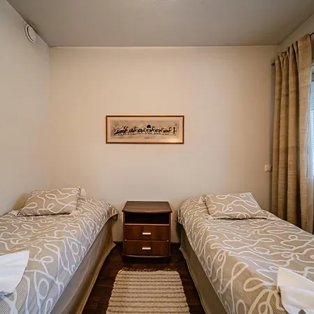 Apartment Alte Dali Ski-in Ski-out By Aavalevi