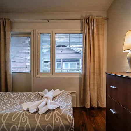 Alte Dali Ski-in Ski-out By Aavalevi