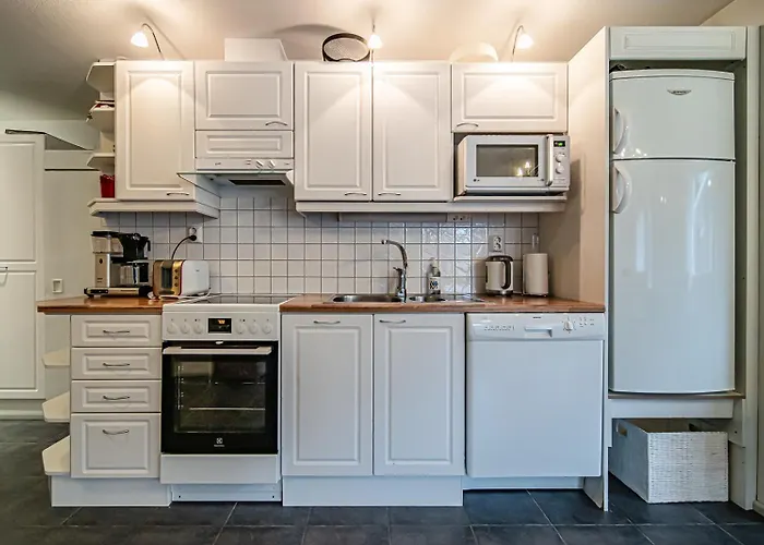 Alte Dali Ski-in Ski-out By Aavalevi Διαμέρισμα