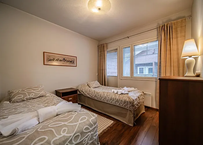 Alte Dali Ski-in Ski-out By Aavalevi Διαμέρισμα