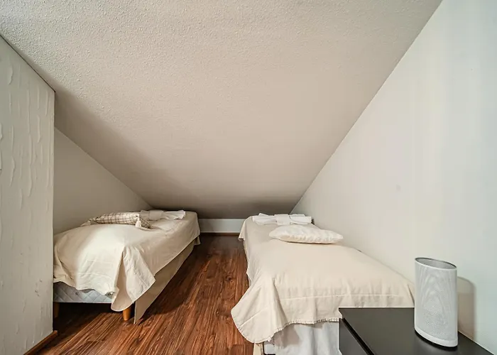 Alte Dali Ski-in Ski-out By Aavalevi