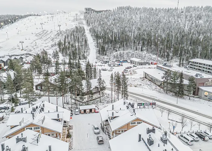 Alte Dali Ski-in Ski-out By Aavalevi Levi